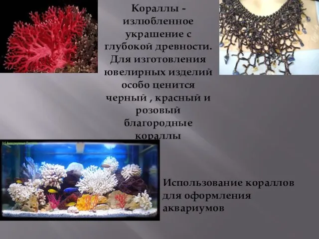 Кораллы - излюбленное украшение с глубокой древности. Для изготовления ювелирных изделий особо