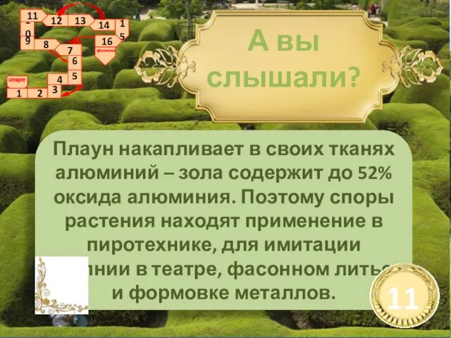 Плаун накапливает в своих тканях алюминий – зола содержит до 52% оксида