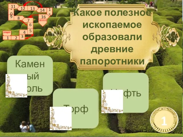 Камен ный уголь Торф Нефть Какое полезное ископаемое образовали древние папоротники