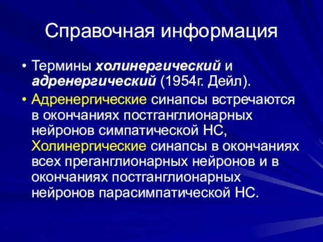 Справочная информация Термины холинергический и адренергический (1954г. Дейл). Адренергические синапсы встречаются в