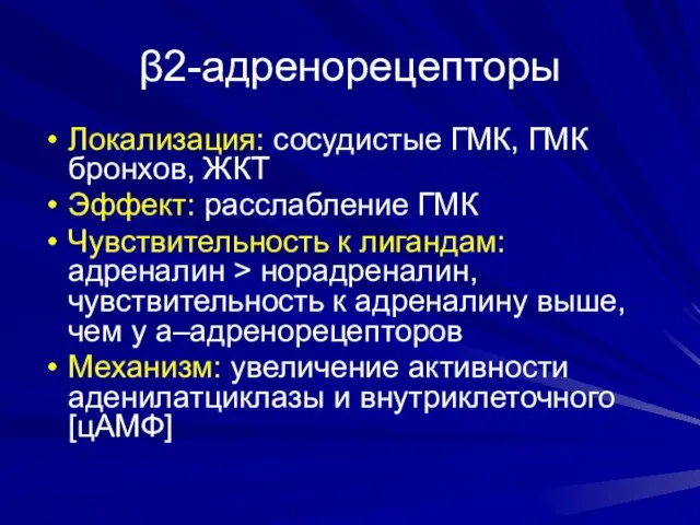 β2-адренорецепторы Локализация: сосудистые ГМК, ГМК бронхов, ЖКТ Эффект: расслабление ГМК Чувствительность к