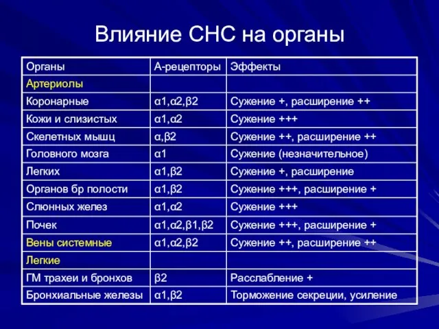 Влияние СНС на органы