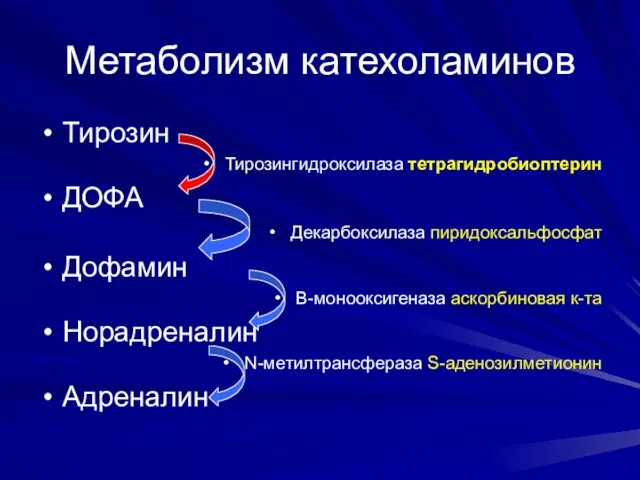 Метаболизм катехоламинов Тирозин Тирозингидроксилаза тетрагидробиоптерин ДОФА Декарбоксилаза пиридоксальфосфат Дофамин Β-монооксигеназа аскорбиновая к-та Норадреналин N-метилтрансфераза S-аденозилметионин Адреналин