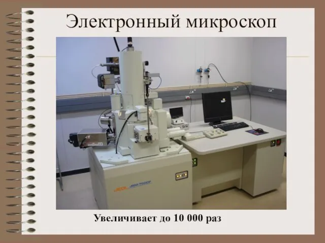 Электронный микроскоп Увеличивает до 10 000 раз