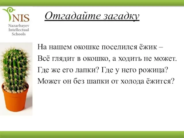 Отгадайте загадку На нашем окошке поселился ёжик – Всё глядит в окошко,