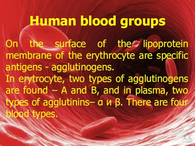 Human blood groups On the surface of the lipoprotein membrane of the