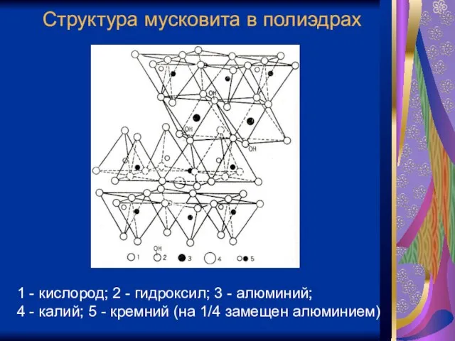 Структура мусковита в полиэдрах 1 - кислород; 2 - гидроксил; 3 -