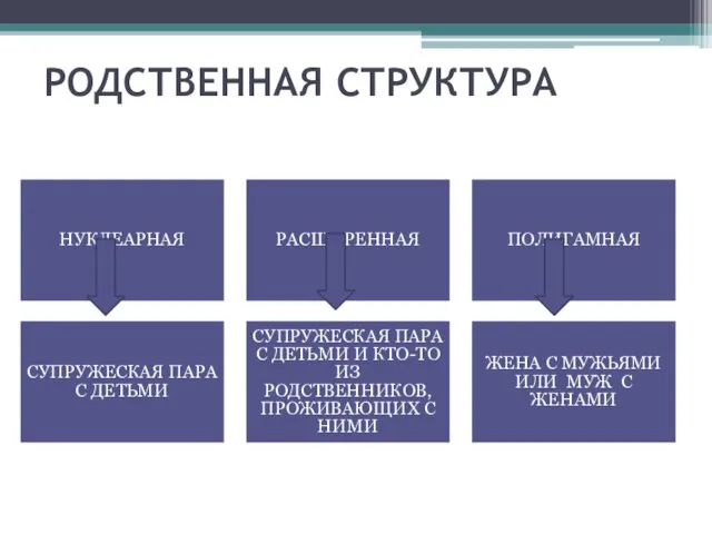 РОДСТВЕННАЯ СТРУКТУРА НУКЛЕАРНАЯ РАСШИРЕННАЯ ПОЛИГАМНАЯ СУПРУЖЕСКАЯ ПАРА С ДЕТЬМИ СУПРУЖЕСКАЯ ПАРА С