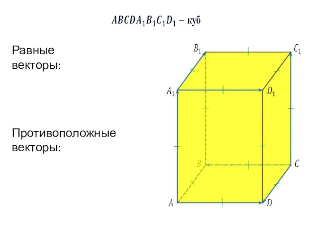 Равные векторы: Противоположные векторы: