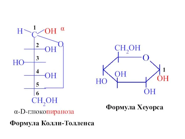 α-D-глюкопираноза OH OH OH HO CH2OH Формула Колли-Толленса Формула Хеуорса 1