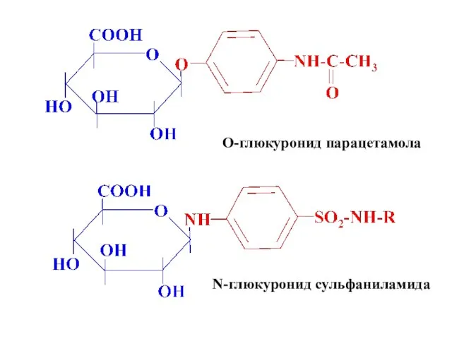 O-глюкуронид парацетамола N-глюкуронид сульфаниламида
