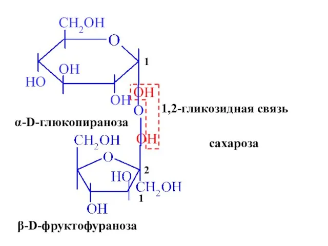 OH OH α-D-глюкопираноза β-D-фруктофураноза 1 2 O 1,2-гликозидная связь сахароза