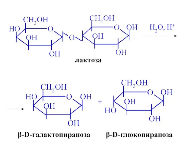 лактоза H2O, H+ β-D-галактопираноза + β-D-глюкопираноза