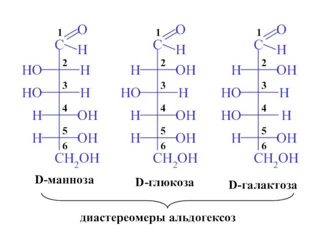 D-глюкоза D-галактоза D-манноза диастереомеры альдогексоз