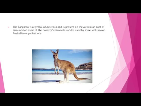 The kangaroo is a symbol of Australia and is present on the