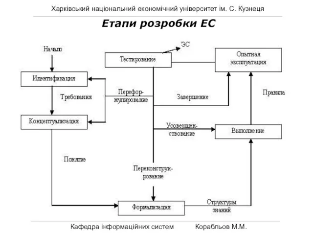 Харківський національний економічний університет ім. С. Кузнеця Кафедра інформаційних систем Корабльов М.М. Етапи розробки ЕС