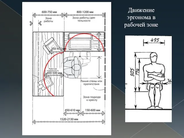 Движение эргонома в рабочей зоне