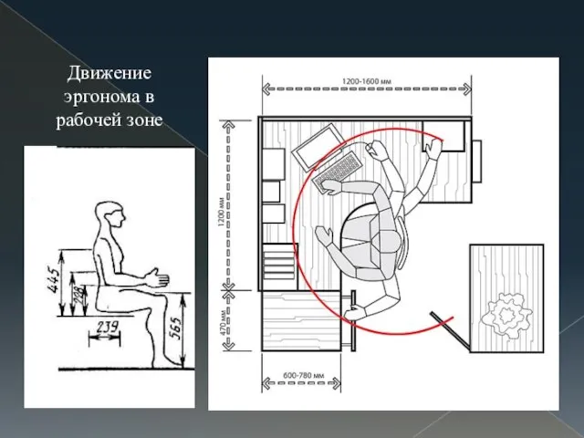 Движение эргонома в рабочей зоне