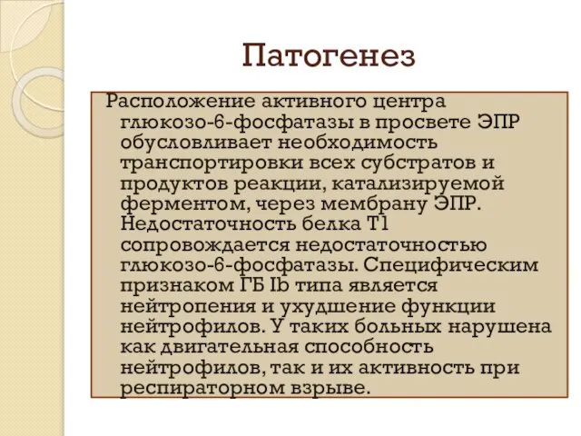 Патогенез Расположение активного центра глюкозо-6-фосфатазы в просвете ЭПР обусловливает необходимость транспортировки всех