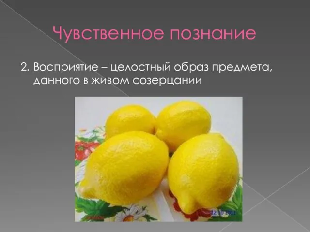 Чувственное познание 2. Восприятие – целостный образ предмета, данного в живом созерцании