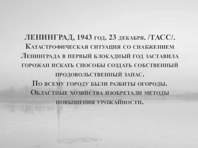 ЛЕНИНГРАД, 1943 год. 23 декабря. /ТАСС/. Катастрофическая ситуация со снабжением Ленинграда в