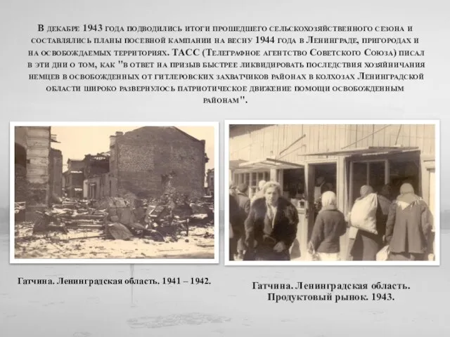 Гатчина. Ленинградская область. 1941 – 1942. В декабре 1943 года подводились итоги