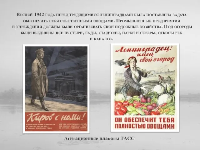 Весной 1942 года перед трудящимися ленинградцами была поставлена задача обеспечить себя собственными