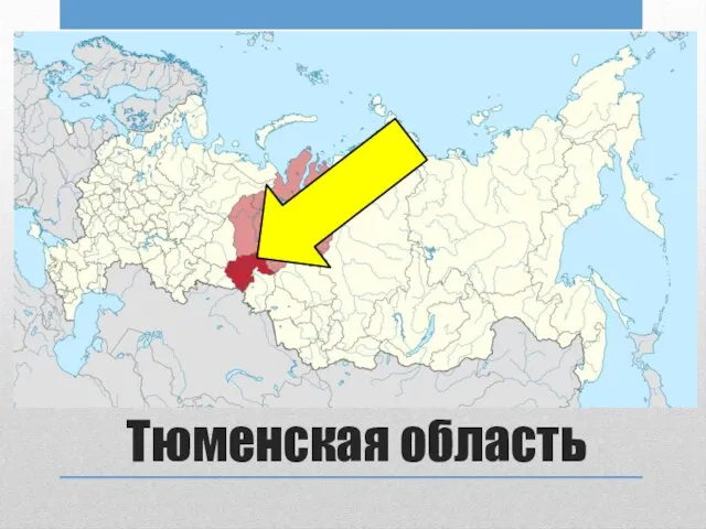 Тюменская область