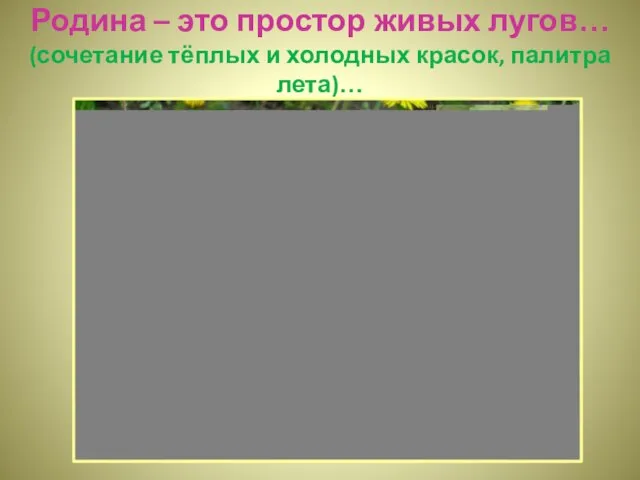 Родина – это простор живых лугов… (сочетание тёплых и холодных красок, палитра лета)…