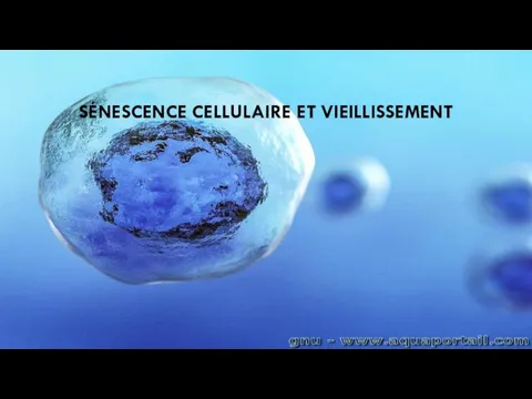 SÉNESCENCE CELLULAIRE ET VIEILLISSEMENT