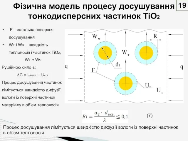 Фізична модель процесу досушування тонкодисперсних частинок TiO2 F – загальна поверхня досушування;