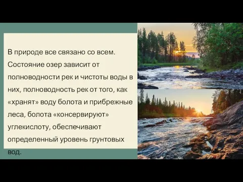 В природе все связано со всем. Состояние озер зависит от полноводности рек