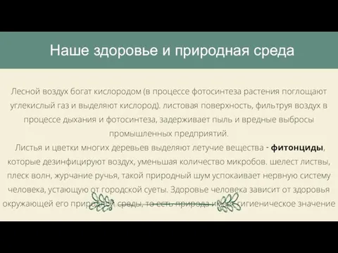 Лесной воздух богат кислородом (в процессе фотосинтеза растения поглощают углекислый газ и