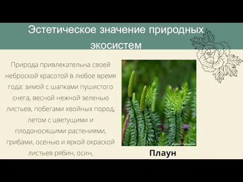 Природа привлекательна своей неброской красотой в любое время года: зимой с шапками