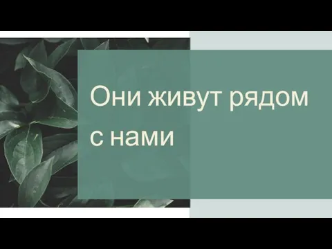 Они живут рядом с нами