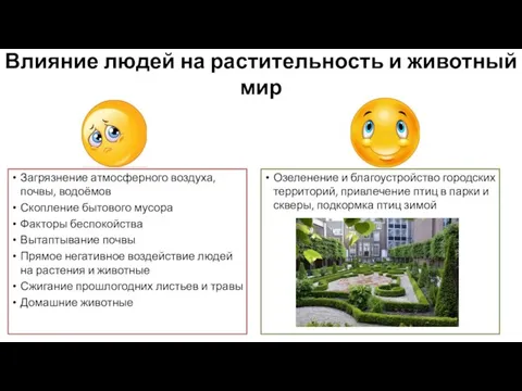 Влияние людей на растительность и животный мир Загрязнение атмосферного воздуха, почвы, водоёмов