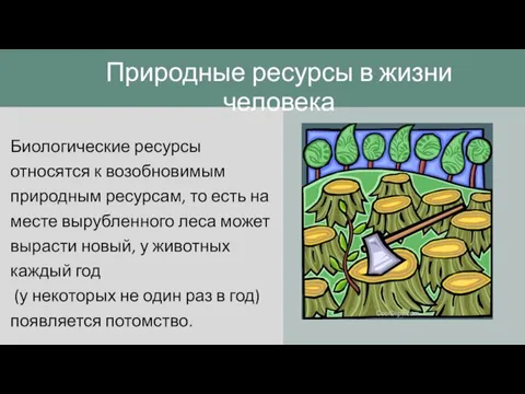 Биологические ресурсы относятся к возобновимым природным ресурсам, то есть на месте вырубленного