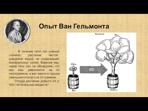 Опыт Ван Гельмонта В течение пяти лет учёный поливал растение чистой дождевой