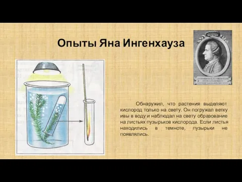 Опыты Яна Ингенхауза Обнаружил, что растения выделяют кислород только на свету. Он