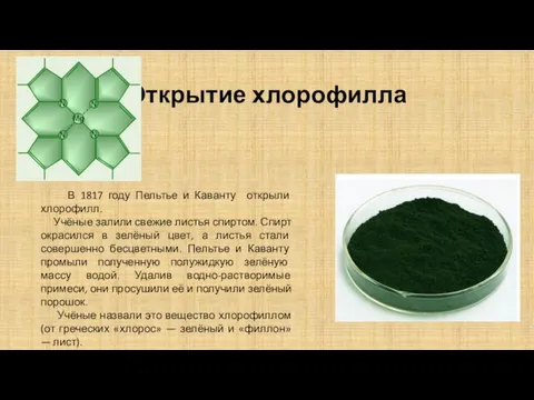 Открытие хлорофилла В 1817 году Пельтье и Каванту открыли хлорофилл. Учёные залили