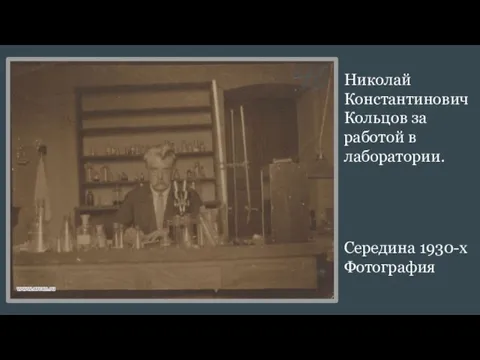 Николай Константинович Кольцов за работой в лаборатории. Середина 1930-х Фотография