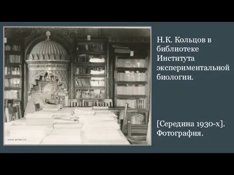 Н.К. Кольцов в библиотеке Института экспериментальной биологии. [Середина 1930-х]. Фотография.