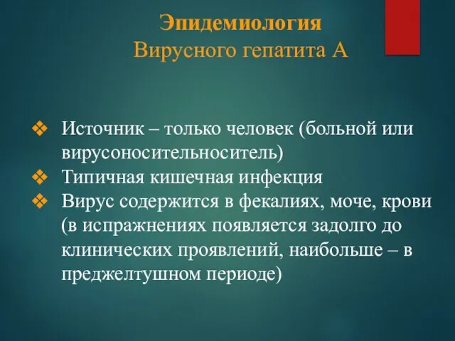 Эпидемиология Вирусного гепатита A Источник – только человек (больной или вирусоносительноситель) Типичная