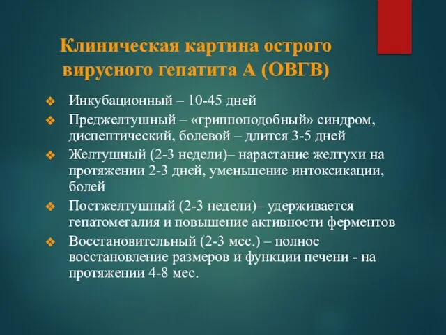 Клиническая картина острого вирусного гепатита А (ОВГВ) Инкубационный – 10-45 дней Преджелтушный