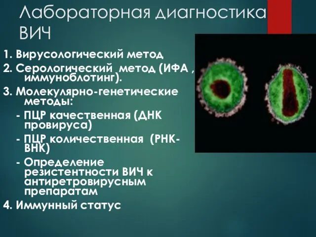 Лабораторная диагностика ВИЧ 1. Вирусологический метод 2. Серологический метод (ИФА , иммуноблотинг).