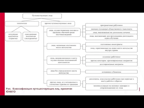 Рис. Классификация путешествующих лиц, принятая ЮНВТО