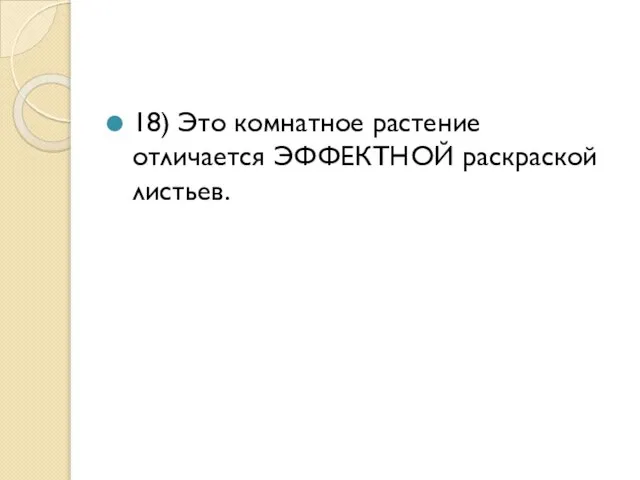 18) Это комнатное растение отличается ЭФФЕКТНОЙ раскраской листьев.