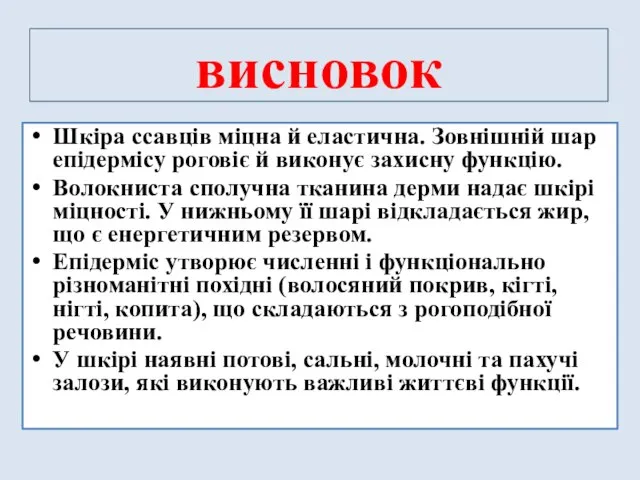 висновок Шкіра ссавців міцна й еластична. Зовнішній шар епідермісу роговіє й виконує