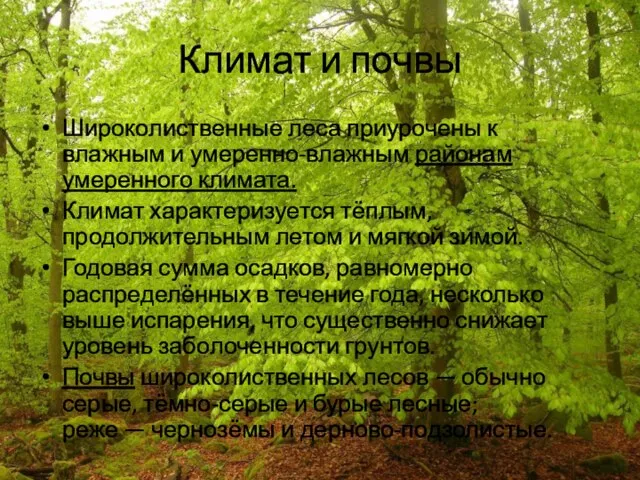 Климат и почвы Широколиственные леса приурочены к влажным и умеренно-влажным районам умеренного