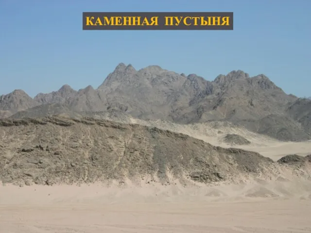 КАМЕННАЯ ПУСТЫНЯ